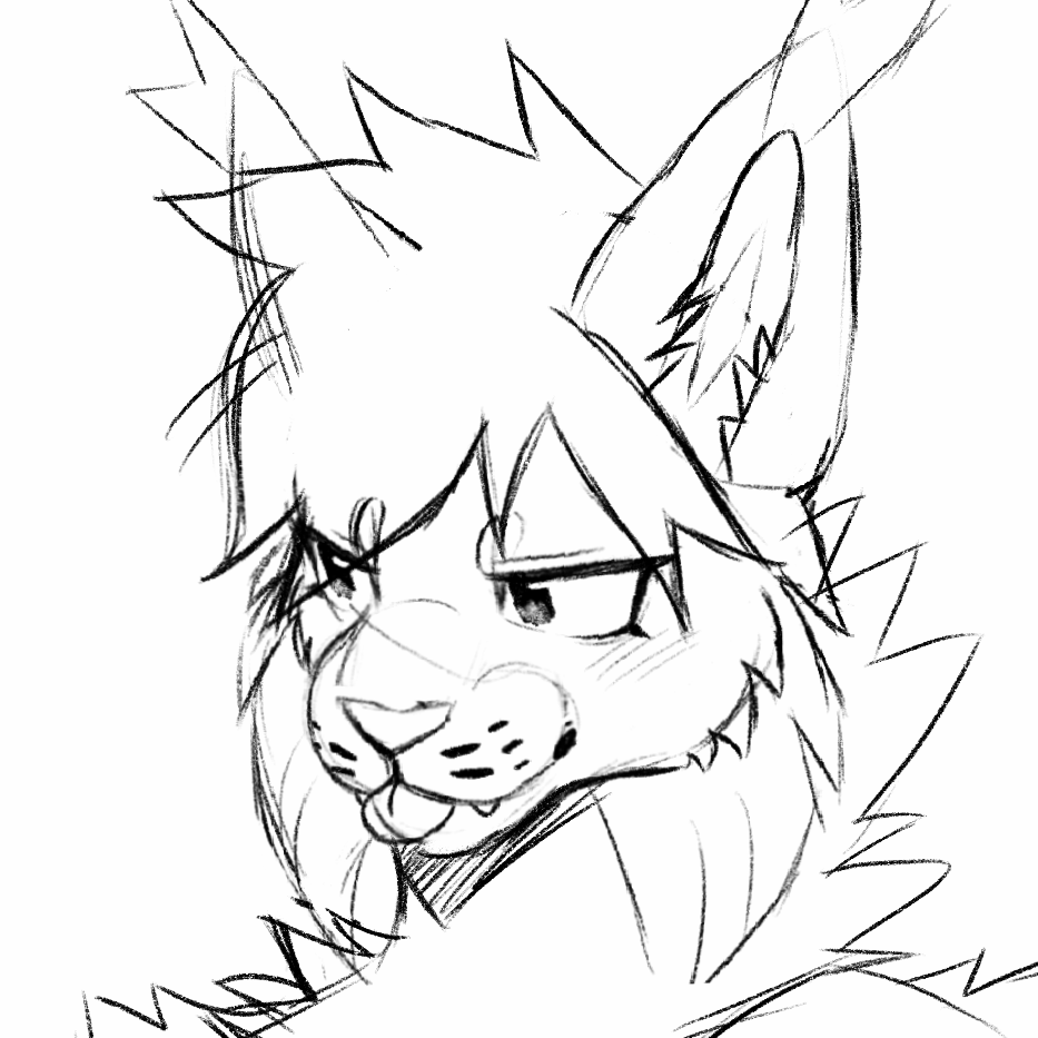 Animations